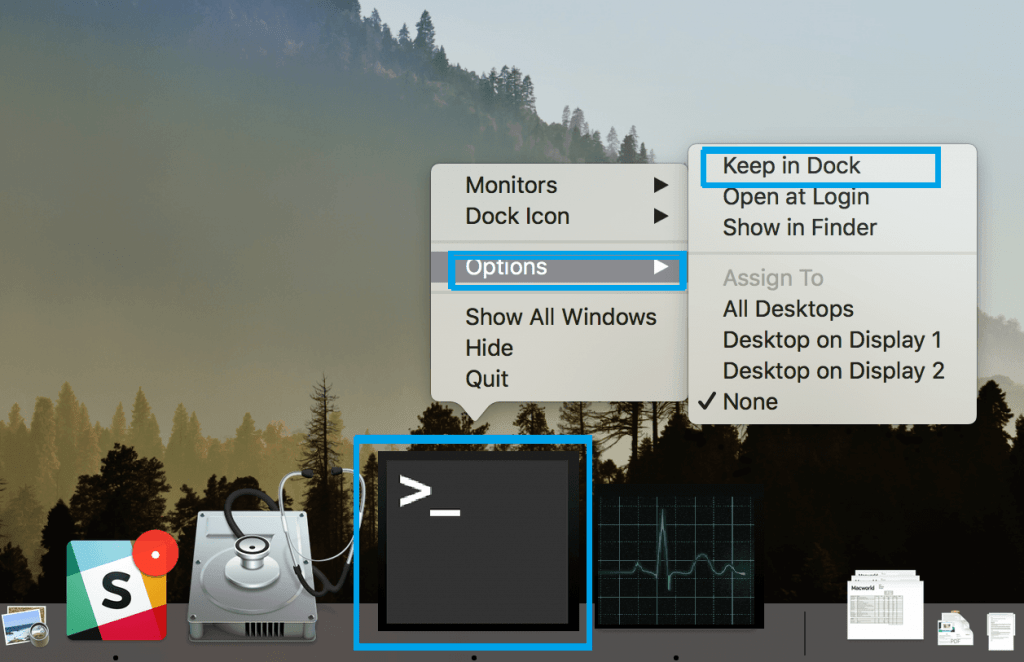 Open the terminal on Mac from Dock