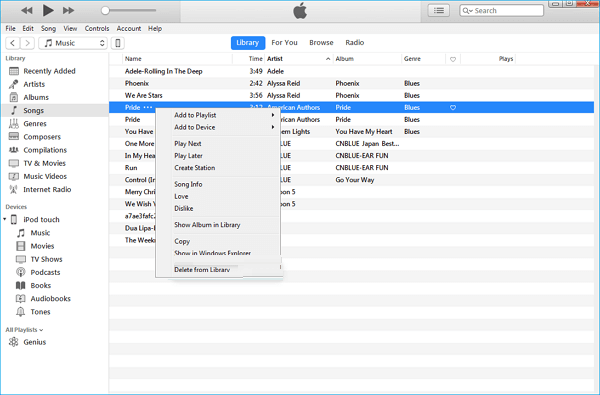 Delete Songs from iTunes
