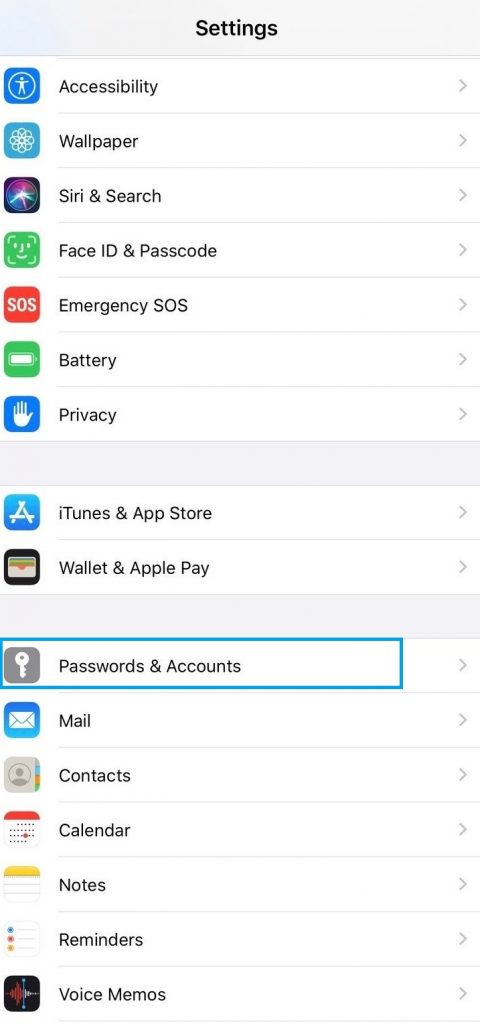 iPhone Settings - Passwords and Accounts
