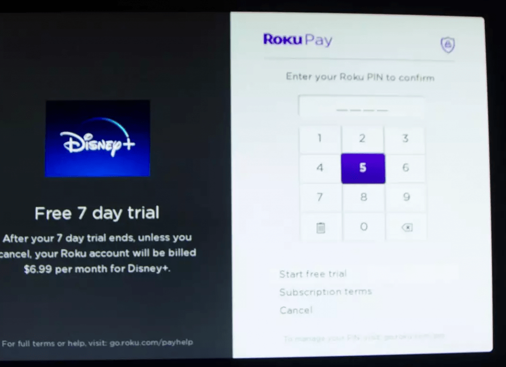 Disney Plus Roku Trial