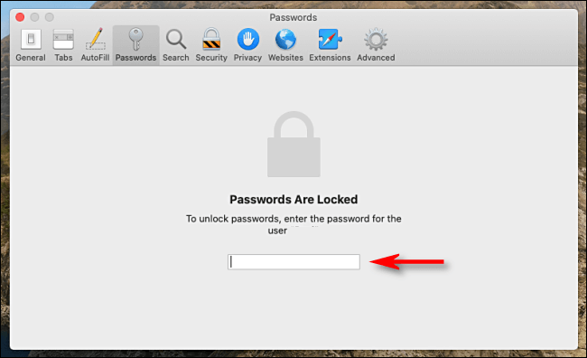 Apple ID password