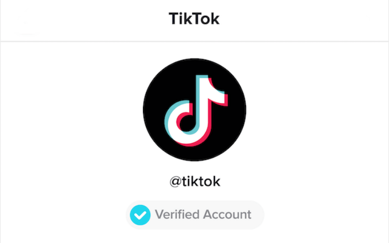 Verified Account - TikTok