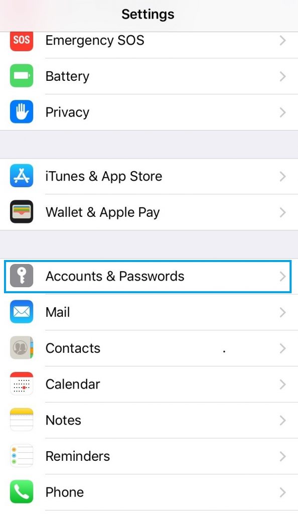 iPhone Settings Passwords and Accounts