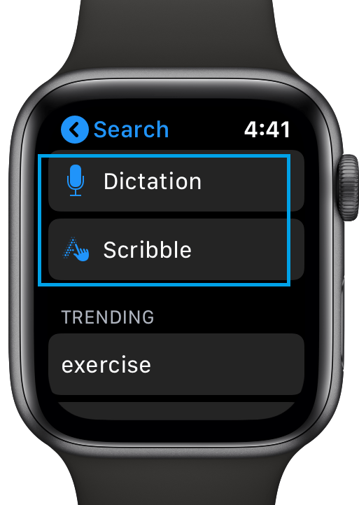 Type of Search on Apple Watch App Store