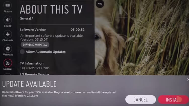 Update LG TV - Install