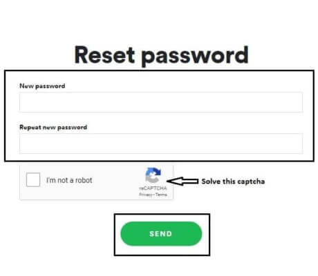 enter the new password and click send