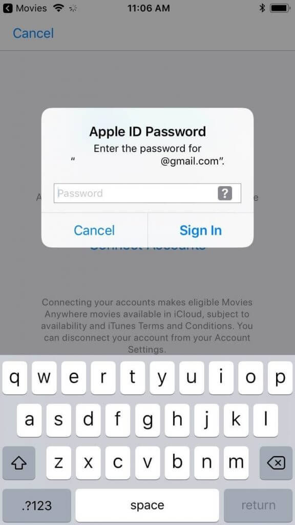 Sign in with your Apple ID and Password