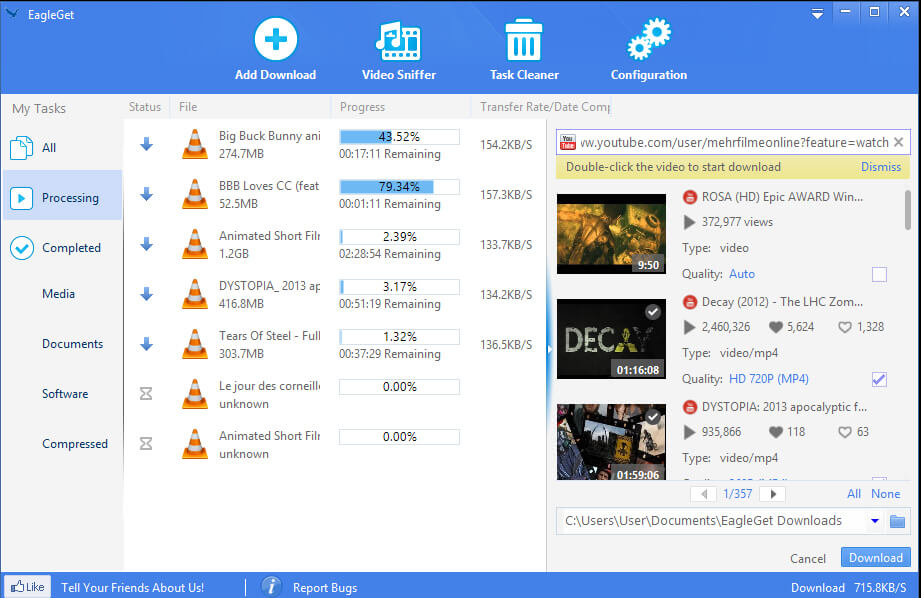 eagleget  is one of the best download manager for windows 