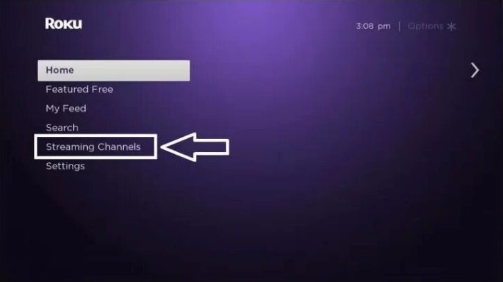 Streaming Channel option on Roku