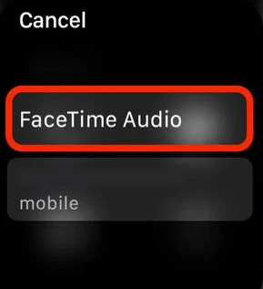 Click FaceTime Audio