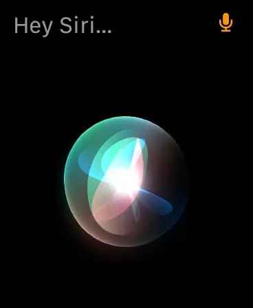 command hey siri to use FaceTime on Apple Watch