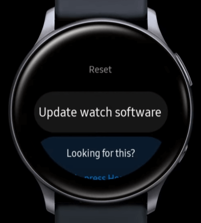Select Update Watch Software
