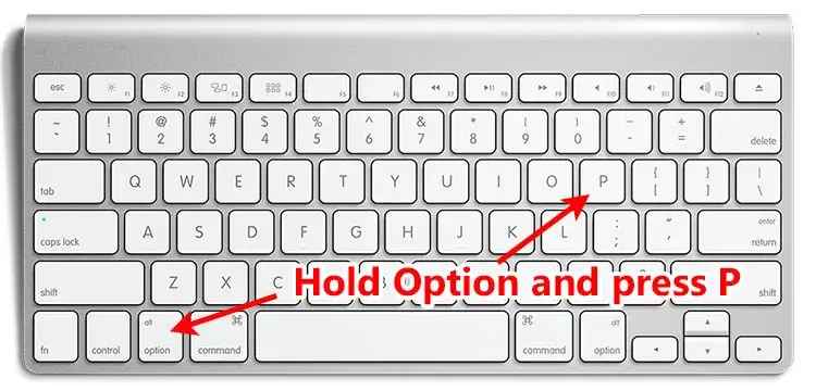 hold down the option key, and then press the P key 