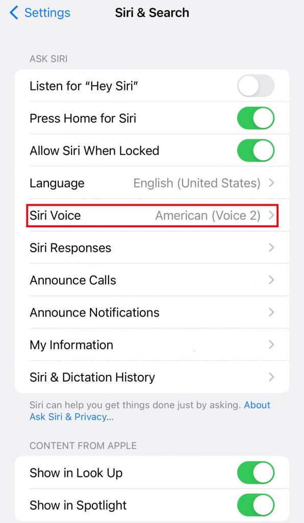 Click on Siri Voice to change the Voice on Apple Maps