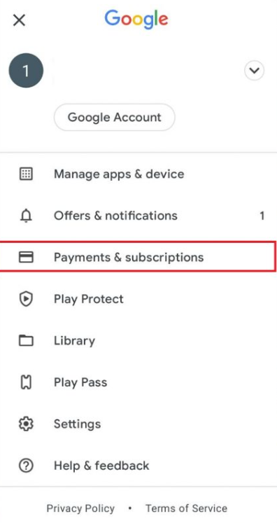 Select Payments & Subscriptions 