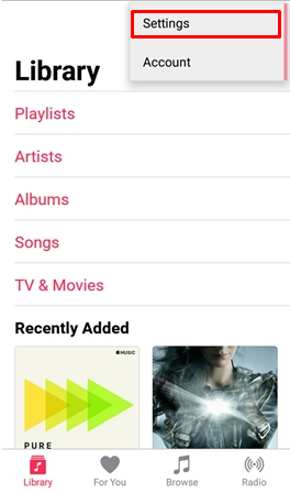Select the Settings option to enable dark mode in Apple Music